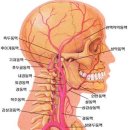 고혈압 예방? 이미지