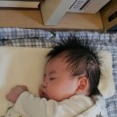 복덩이찐빵 이미지