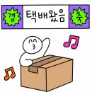 휠라 에샤페 벨크로 메리제인 내돈내산 후기✨ 데일리룩 착샷, 사이즈, 구매정보까지