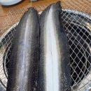 물금농협 본점 | 양산현지인맛집 양산장어 양산장어구이 양산보양식 양산몸보신 양산 신장어본가