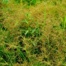 하늘지기 이미지