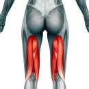 제일메가스포 이미지