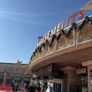 매직카월드 | 경주월드 눈썰매장 스노우파크에서 눈썰매와 눈장난 그리고 화재의 대관람차 타임라이더 탑승 후기