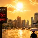오늘 오전 11시 서울 전역 폭염주의보 확대…전국 낮 최고 36도 이미지