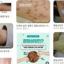 양진헬스