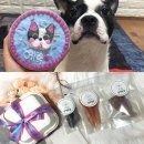 댕댕얌얌 이미지