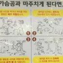도림사계곡민박 이미지