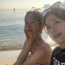 바다이야기펜션민박 이미지