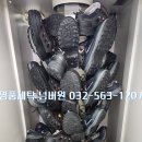 화도세탁소 이미지