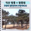 쌍릉 | 익산 쌍릉, 여기 사람 한 명도 없다고? 전세 낸 듯 즐기는 나홀로 산책
