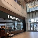 블라썸필드 | 스타벅스 신상 체리블라썸백도크림프라푸치노 후기 벚꽃 시즌 추천 달달한 프라푸치노