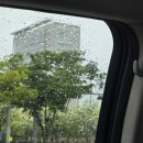 광주시청 | 2025 광주 어린이날 행사 시청 방문후기