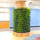 구산유치원 이미지