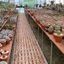 화수분농장 이미지