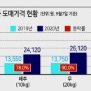 대란과일 이미지