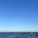 경주 감포트라제 풀빌라 이미지