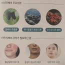 또또에스테틱1004