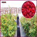 담산농장 이미지