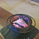 WITH 어린이수영장 | 근교 감성뿜뿜 럭셔리 캠핑장 포천탑글램핑장(내부, 수영장, 어린이 놀이시설) with 삼낙촌, 동이손만두