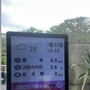 엘리시안강촌cc 밸리 / 레이크 코스 라운딩후기