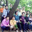 일직초등학교 이미지