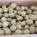 진주팜농약 이미지