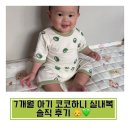 코코하니 이미지