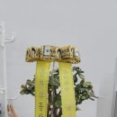 무실제일풍경채공인중개사사무소 이미지