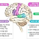 킴스케어 이미지