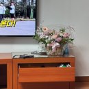 126 | 수원 광교 가성비 꽃집 추천 로코코플라워 내돈내산 꽃바구니 후기