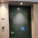 호텔(HOTEL)801 | 제주 태교여행 5성급 파르나스 호텔 트윈룸 숙박후기