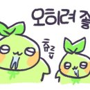 꿀잼 뽑기 네이버블로그