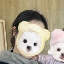 춘천미용실 퇴계동 미용실 아윤채클리닉 추천 디엔엠헤어