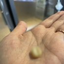 해제치과의원 이미지