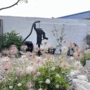 울진조경 이미지