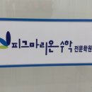 피그마리온수학