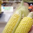 [섭외 문의] 올라운더 쇼호스트 라이브커머스 대행: 원스톱 운영부터 만족 후기 모음까지!