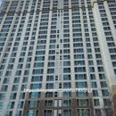 성우오스타개발 이미지