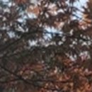 소원치과의원 이미지
