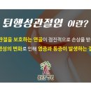 올곧은병원 이미지