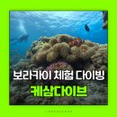 영상으로 만나는 정크, 클라운 | 보라카이 스쿠버다이빙 투어 추천 케삼다이브 후기