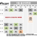 대한폴댄스연맹학원