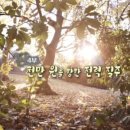 대지마트