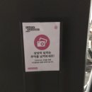 구슬천지당구장 | [플라스틱 판타스틱] 한남동 디뮤지엄 전시 빛 컬러 판타지 PLASTIC FANTASTIC