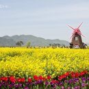 의령-의령-의령-D-3 이미지