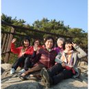 갑순네 Daum카페