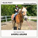 송곡승마교육원 이미지