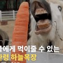 교동카서비스 이미지