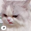 하면 잘하는데 그걸 제가 왜 해야 해요?