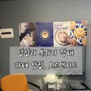 동구청별관 공중화장실 | 답십리 분위기 깡패, 카페 오르앤지드 애견동반 가능! 주차, 버터떡, 시그니처 음료 정보